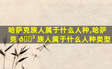 哈萨克族人属于什么人种,哈萨克 🐳 族人属于什么人种类型